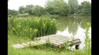 Clavering lakes Nr Saffron Walden Essex UK [upl. by Diehl228]