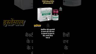 Chloromycetin Ear Drop किस काम आती है  By Al Aman Pharma  Chloromycetin Ear Drop Use In Hindi [upl. by Fielding409]