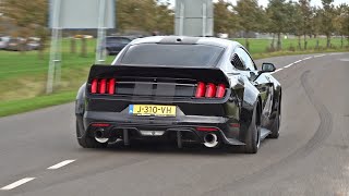 BEST OF FORD MUSTANG SOUNDS Shelby GT500 Alphamale Widebody GT350 RTR Widebody Royal Crimson GT [upl. by Tnilk]