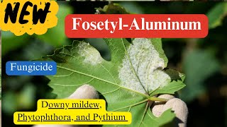 FosetylAluminum Chemistry Mode of Action and Diverse Applications [upl. by Anual]