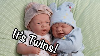 It’s Twins Realistic Rebornlike Berenguer Doll Surgery Name Reveal Haul [upl. by Jerrilee]