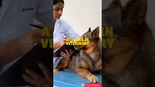 Career in veterinary science Veterinary Science admission bvscah veterinaryscience [upl. by Maloy]