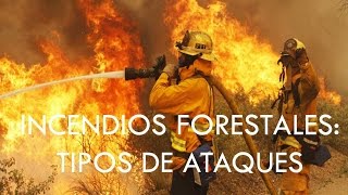 Incendios forestales tipos de ataques directos [upl. by Notliw594]