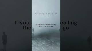 Echo Lyrics Video  Alexander Stewart [upl. by Ailido163]