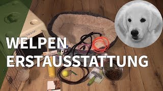 Welpen Erstausstattung ► Empfehlung für Welpen Zubehör und Hunde Erstausstattung [upl. by Hpejsoj]