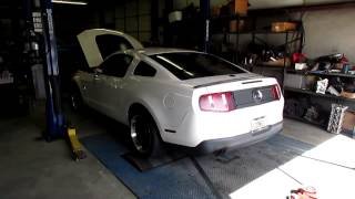 2010 Mustang GT stroker kit LOUD [upl. by Ursola611]