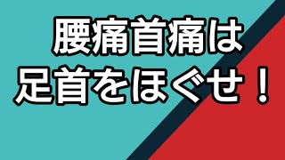 【フォームローラー】腰痛首痛は足首をほぐせ！ 固い人は痛いぞ！ [upl. by Sarchet]