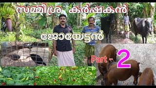 Part  2 സമ്മിശ്ര കർഷകൻ ജോയേട്ടൻസ് കൃഷി രീതികൾ  Mixed Farming  Krishi  Malayalam [upl. by Tomasz]