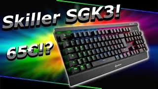 Die beste Mechanische Gaming Tastatur für unter 70€  Sharkoon Skiller SGK3  Review  Deutsch [upl. by Aduhey497]