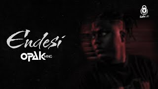 Opak  Endesi  lyrics Video [upl. by Ahsilla341]