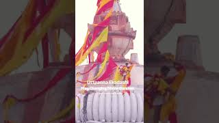 Flag changing Divine Darshan 😘❤️🙏 explorepage trending god puri odishaclick jayjagannath jaga [upl. by Lesh895]