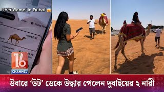 উবারে ‘উট’ ডেকে উদ্ধার পেলেন দুবাইয়ের ২ নারী  Uber  Camel  Dubai  Channel 16 [upl. by Elyad88]