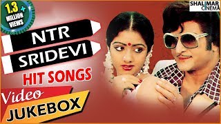 NTR And Sridevi Hit Video Songs  Best Collections  Shalimarcinema [upl. by Billi375]