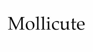 How to Pronounce Mollicute [upl. by Nelleoj52]