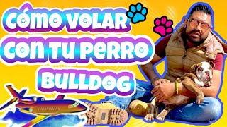 Requisitos para VIAJAR con tu PERRO Tutorial paso a paso [upl. by Juliette]