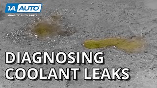 Found Puddles Under Your Car or Truck How to Diagnose Coolant Leaks [upl. by Piscatelli841]