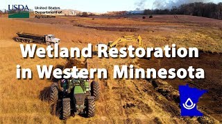 Wetland Restoration in Western Minnesota with the Cook Waterfowl Foundation [upl. by Imoen]