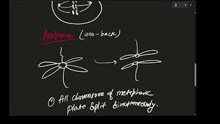 ICSE  CLASS 10  BIOLOGY  GENETICS [upl. by Olinde49]