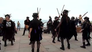 Beltane amp Grimspound Border Morris  Haccombe  Teignmouth Folk Festival  23 Jun 24 [upl. by Garrity438]