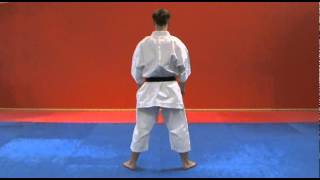 ShitoRyu Shukokai  Kata  pinanshodan [upl. by Yarw]