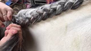 How to crest plait dutch [upl. by Notlim162]