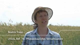 Feldtage des Sächsischen Landesamtes für Umwelt Landwirtschaft und Geologie [upl. by Itirp]