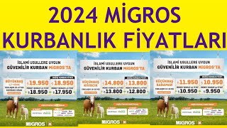 2024 Migros Kurbanlık Fiyatları [upl. by Other]