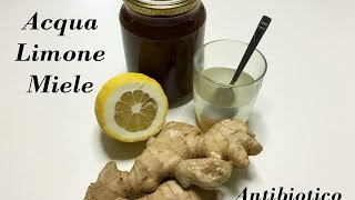 Tisana Zenzero Limone e Miele Ottimo Infuso Disintossicarsi  Ottimo Antibiotico Naturale [upl. by Alitta]