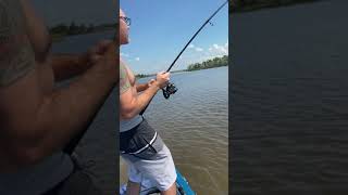 Duel of the Black Drum  Escambia River Pensacola FL 1012021 [upl. by Haydon923]