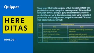 Biologi Kelas 12  Hereditas  Pembahasan Soal HOTS UTBK [upl. by Nirej494]