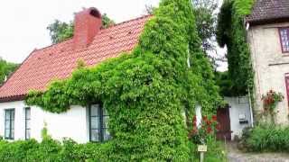 Romantik house germany with green plants romantisch bewachsenes Haus in Neustadt Holstein Ostsee [upl. by Arodoet]