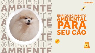 Enriquecimento Ambiental Para Cães  Vida de Pet  PremieRpet [upl. by Laidlaw464]