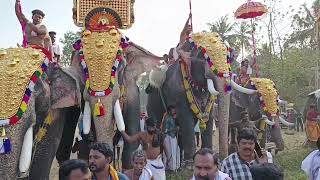 UTHRALIKAVU POORAM [upl. by Drarreg679]