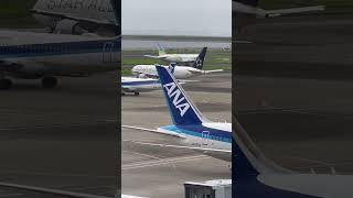 ゆっくりと滑走路へ向かうB767たち 航空系 飛行機 羽田空港 B767 エアドゥ スターアライアンス ANA boeing airport haneda 滑走路 [upl. by Rockwood76]