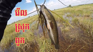 Adventure Fishing Trip At Reul Puok District  ម្តងនេះជិះរាវដល់ហើយ​មេៗ ទឹកដីរើល ស្រុកពួក។ [upl. by Read]