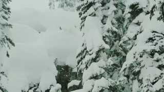 Take Flight with CMH Heli Skiing [upl. by Murial]