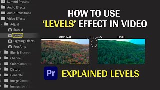 What is LEVELS in Premiere Pro How to use amp adjust LEVELS in videos in Premiere Pro [upl. by Lauralee]