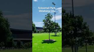 📍Scissortail Park Oklahoma City oklahoma oklahomacity tripadvisor bucketlist usa skyline [upl. by Nosylla623]