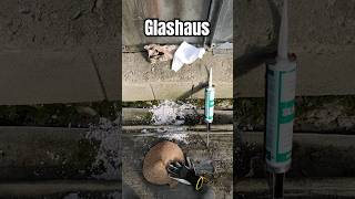 Altes Glashaus Glas Glasscheibe richtig mit Silikon kleben reparieren [upl. by Relly]