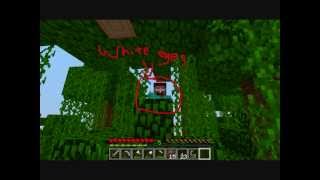 Minecraft Herobrine Sightings Not Multiplayer Or Edited MUST SEE [upl. by Aisha]