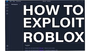 How To Exploit in Roblox in 2024  Wave Tutorial Updated [upl. by Avon749]