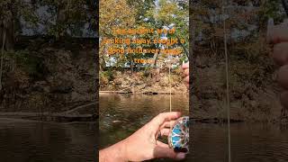 flyfishing troutbum happyplace nature river fishingmethods brooktrout [upl. by Lacsap]