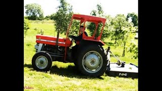 Vintage MF 135 Mowing the Hardwood Copse Very Early Home Video [upl. by Cammy75]