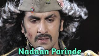 NADAAN PARINDE Full Song  Rockstar  Ranbir Kapoor  AR Rahman  Mohit Chauhan [upl. by Enyaj782]