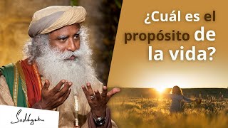 ¿Cuál es el propósito de la vida│Sadhguru [upl. by Akienaj]