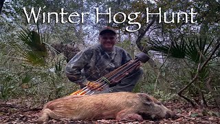 Winter Hog Hunt 2024 Traditional Bowhunting [upl. by Tammie446]