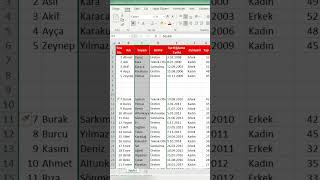 Excel Yeni Satır ve Sütun Ekleme Kısayolu shorts [upl. by Yablon]