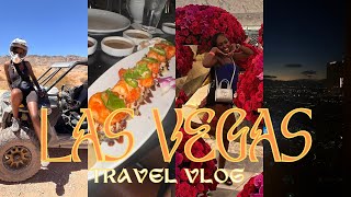 TRAVEL VLOG I GOT FLEWED OUT TO VEGAS [upl. by Nemzaj]