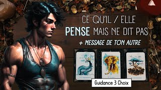 🥰 Ce Quil  Elle Pense Mais Ne Dit Pas  Message de ton autre ❤‍🔥 3 Choix Guidance Sentimentale [upl. by New]