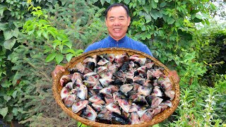 Cooking 80 Fish Heads At Once Deep Fried and Grilled with Massive Chili  Uncle Rural Gourmet [upl. by Lisabeth11]